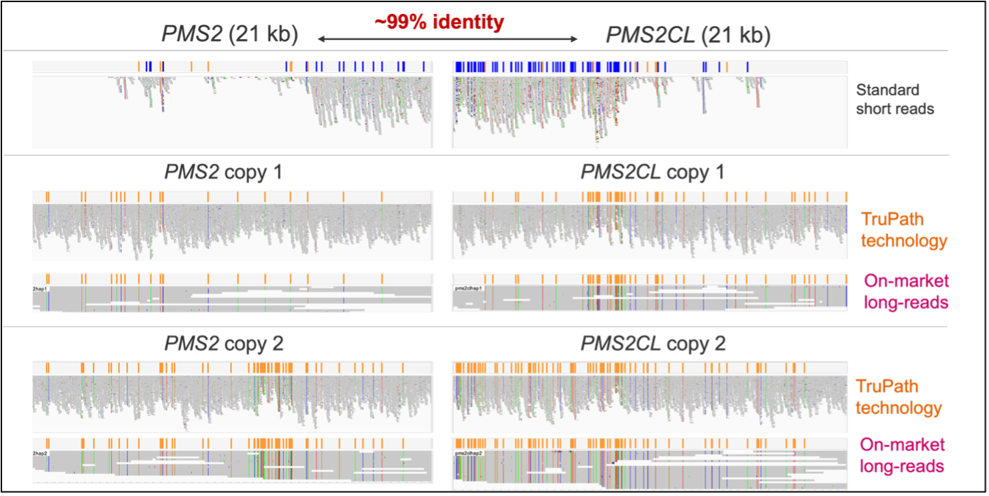 Haplotype-Resolved Variant Calls in *PMS2* and *PMS2CL*